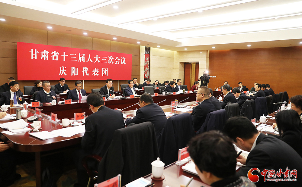 【聚焦2020甘肅兩會】省十三屆人大三次會議各代表團(tuán)分組審議《政府工作報(bào)告》（組圖）