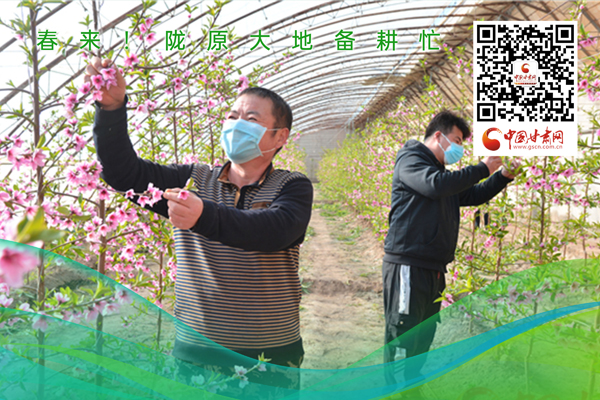 海報(bào)丨春來(lái)！隴原大地春耕忙