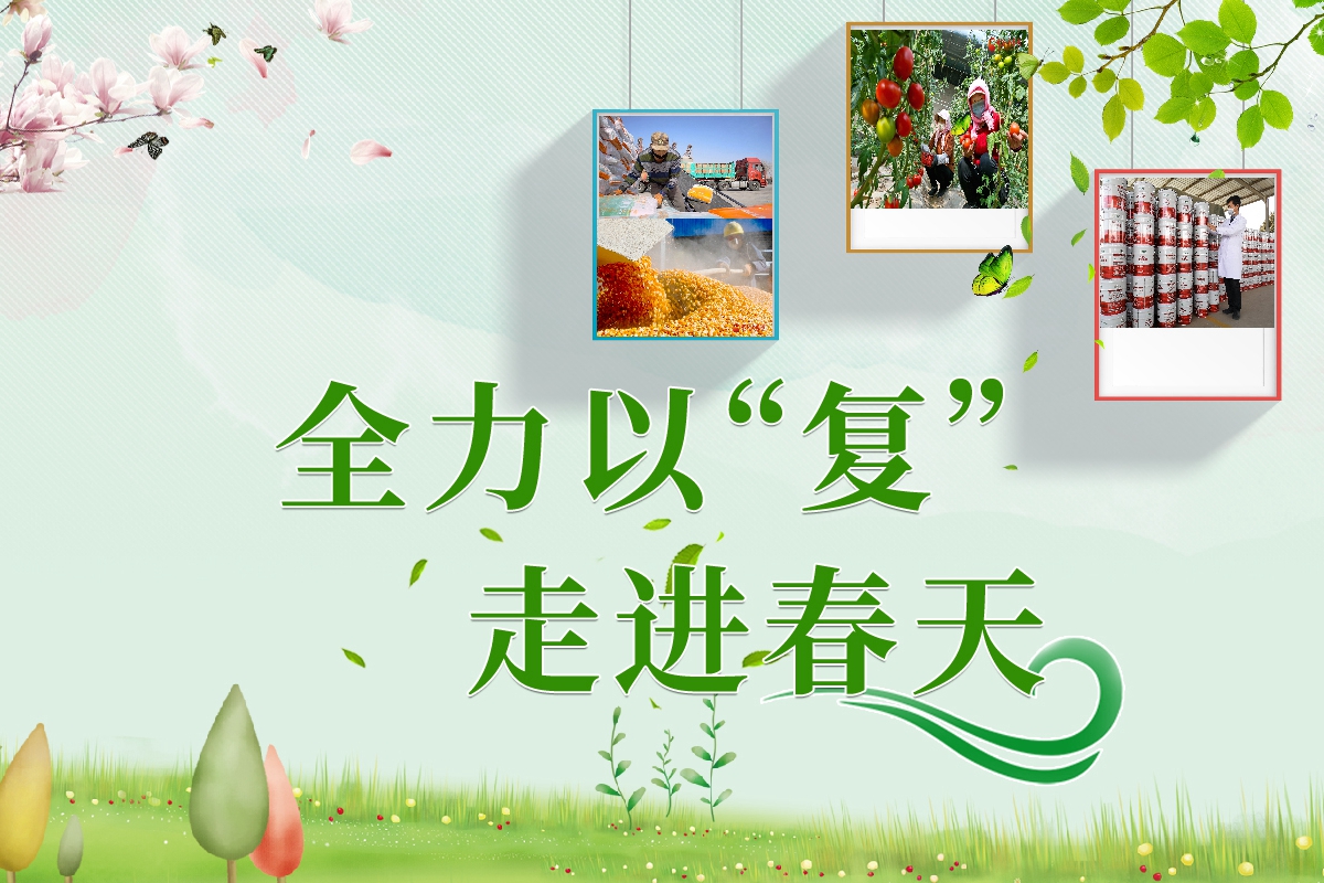 長(zhǎng)圖|全力以“復(fù)”！甘肅走進(jìn)春天里  