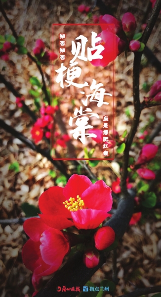 來(lái)，跟這些美美的花朵認(rèn)識(shí)一下！