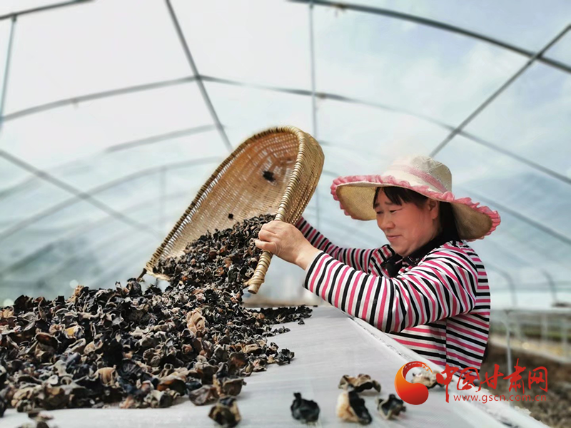 康縣：木耳菌袋結(jié)出脫貧致富的“幸?；ā?>
        </a><em>康縣：木耳菌袋結(jié)出脫貧致富的“幸?；ā?/em></li>
    <li><a  target=
