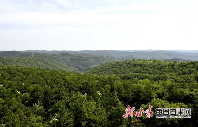 【甘肅生態(tài)環(huán)保媒體行】子午嶺深處，一家三代人用生命守護(hù)黃土高原的“天然生態(tài)屏障”