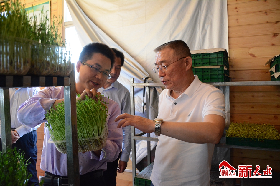 王銳在甘谷縣掛牌督戰(zhàn)村調研指導脫貧攻堅工作