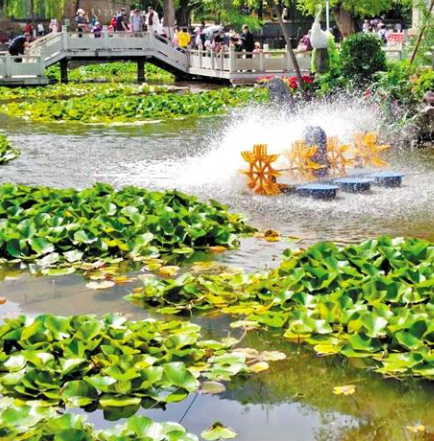 走，到五泉山公園看花展去