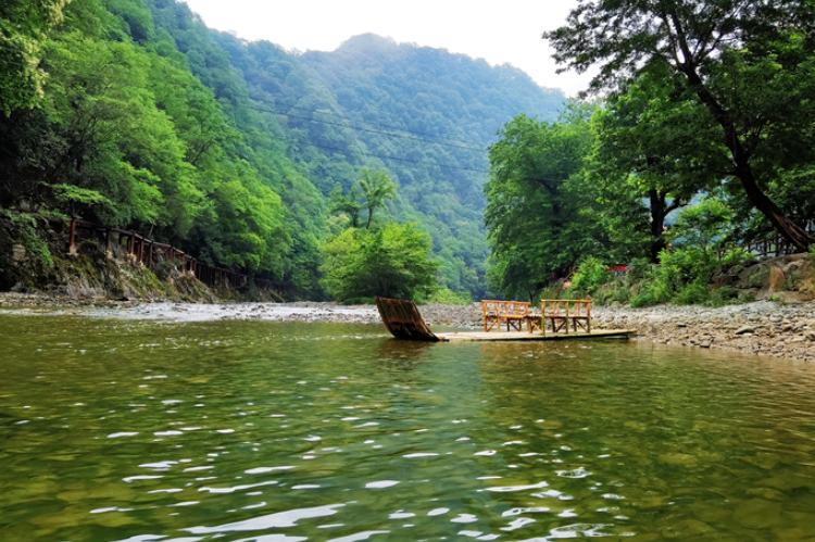 【小隴畫(huà)報(bào)·95期】康縣：來(lái)陽(yáng)壩，“森”呼吸，我“氧”你