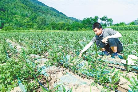 【走向我們的小康生活】安居樂業(yè) 幸?；ㄩ_