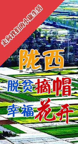 【走向我們的小康生活】長圖|隴西：脫貧摘帽 幸?；ㄩ_
