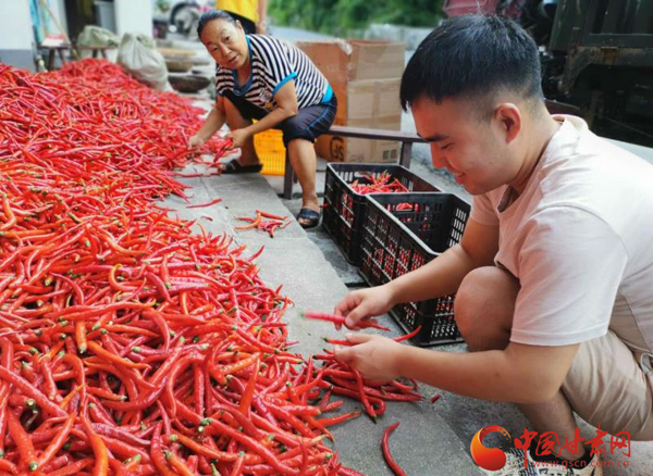 文縣大盤峪村：找準產業(yè)扶貧路子  打贏脫貧攻堅戰(zhàn)役
