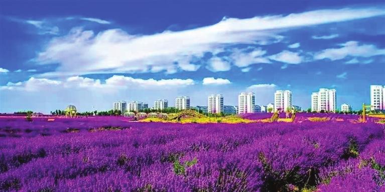 “三連冠”！金昌蟬聯(lián)全國文明城市