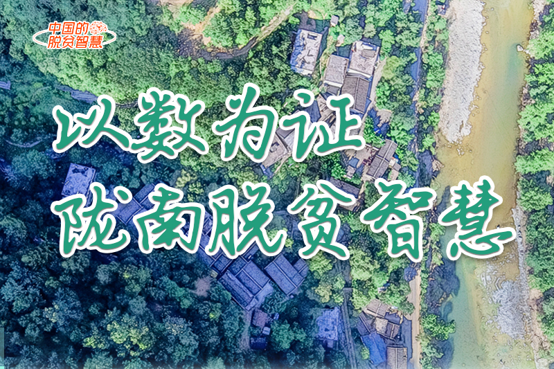【中國的脫貧智慧】以數為證！隴南脫貧智慧來了！