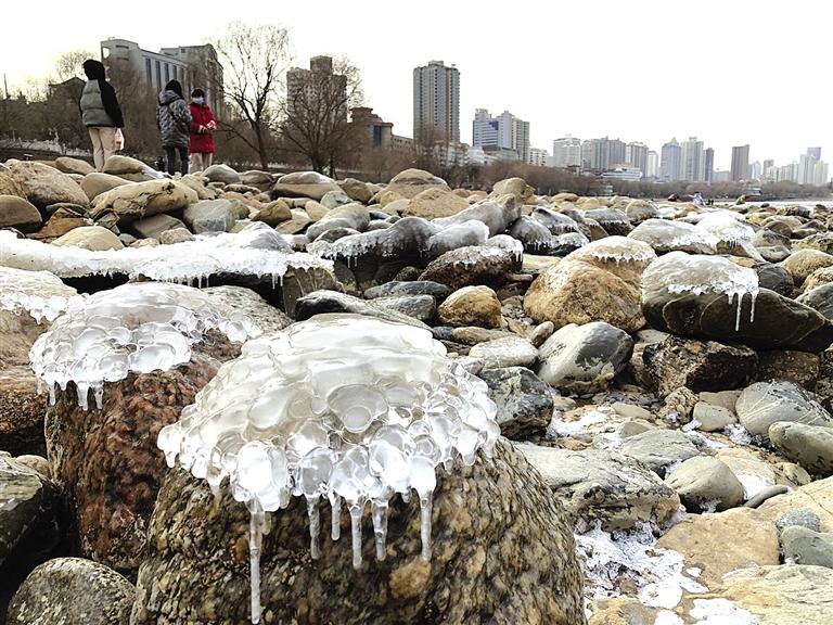 蘭州：水母上河灘？
