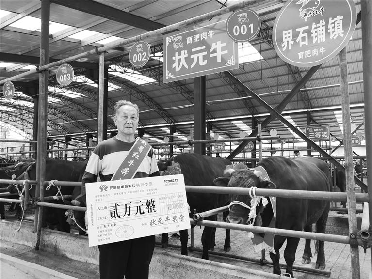 120頭“平?jīng)黾t?！膘o寧爭(zhēng)霸