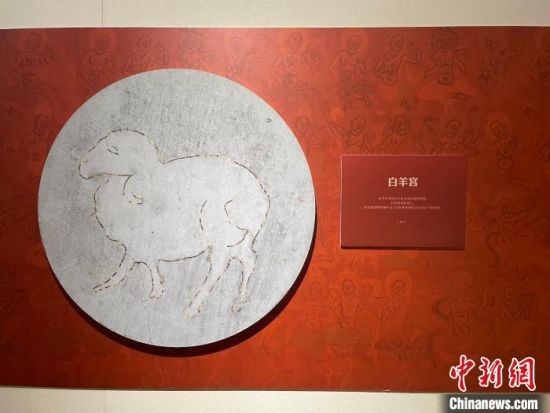 圖為展覽現(xiàn)場(chǎng)。　江楊燁 攝