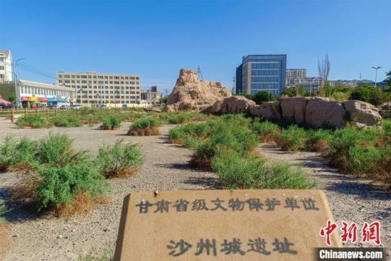 圖為沙州郡城遺址公園古遺址?！⊥醣筱y 攝