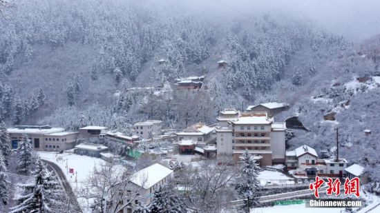 圖為籠罩在雪下的世界。吳永 攝