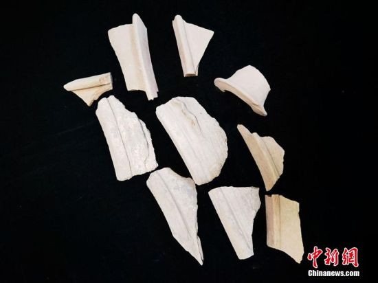 圖為靜寧縣賈河鄉(xiāng)竇坪村出土的彩陶片、紅陶片。 夏劍鋒 攝