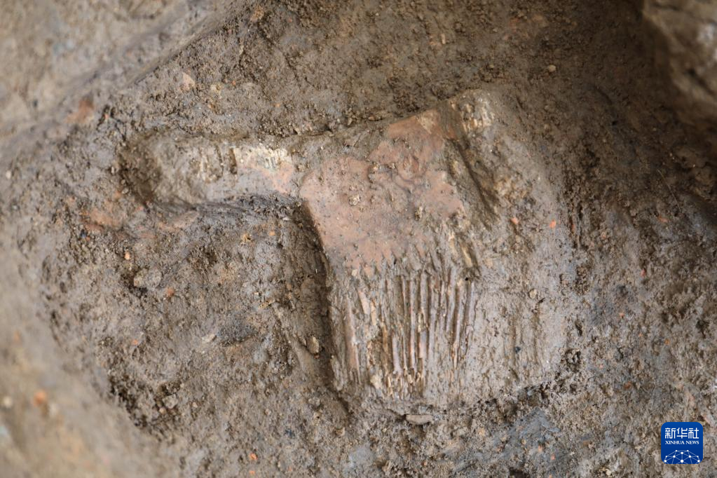 河南南陽市黃山新石器時(shí)代遺址出土的屈家?guī)X文化骨梳（資料圖）。