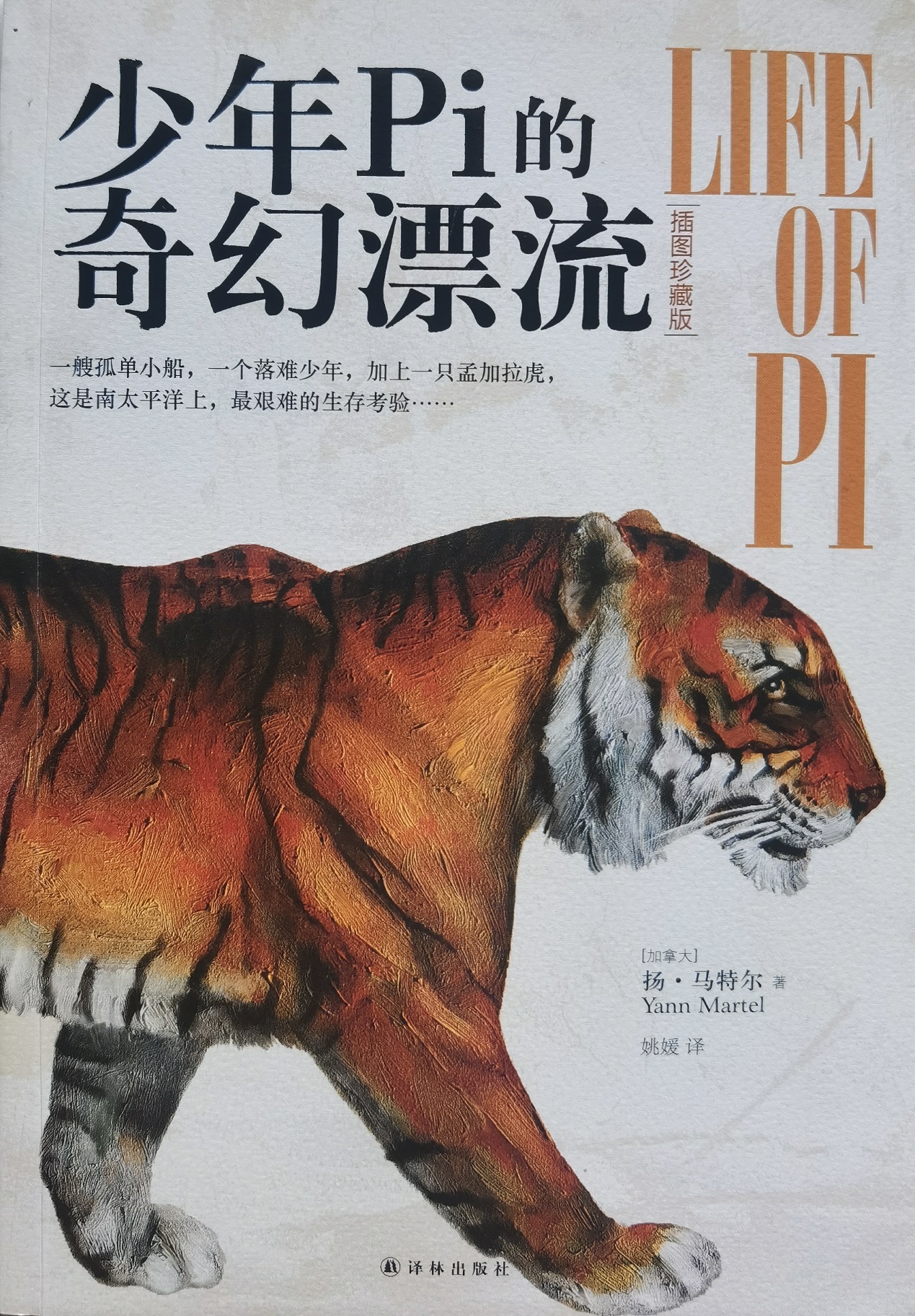 插圖1：揚(yáng)？馬特爾的小說《少年pi的奇幻漂流》封面