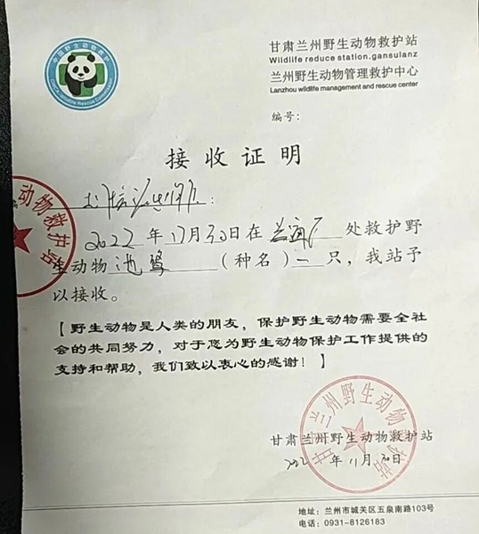 受到救助的池鷺被蘭州野生動(dòng)物保護(hù)站接收。（蘭州市公安局七里河分局供圖）