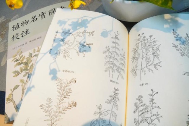《植物名實(shí)圖考校注》內(nèi)頁(yè)。圖片來(lái)源：中華書(shū)局供圖
