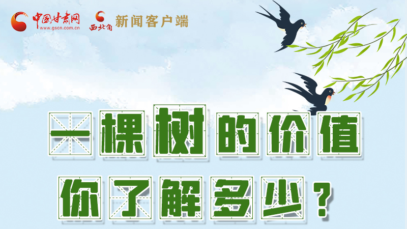 圖解|一棵樹的價值你了解多少?來看！