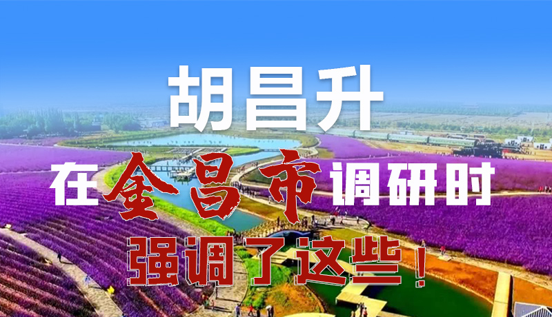 圖解|胡昌升在金昌市調(diào)研時(shí)強(qiáng)調(diào)了這些！