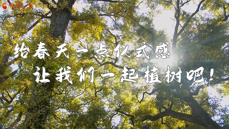 短視頻|給春天一點儀式感，讓我們一起植樹吧！