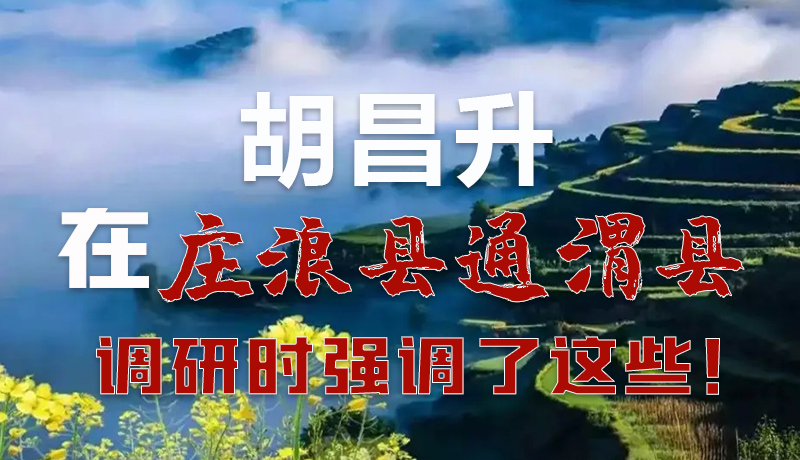 圖解|胡昌升在莊浪縣通渭縣調(diào)研時(shí)強(qiáng)調(diào)了這些！