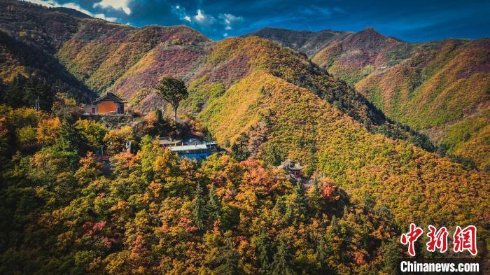 深秋，位于蘭州市榆中縣的興隆山，似打翻調(diào)色板。金峯 攝