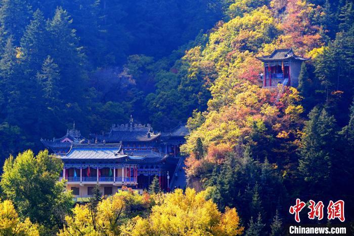 深秋，位于蘭州市榆中縣的興隆山景色如畫(huà)。宮衛(wèi)紅 攝