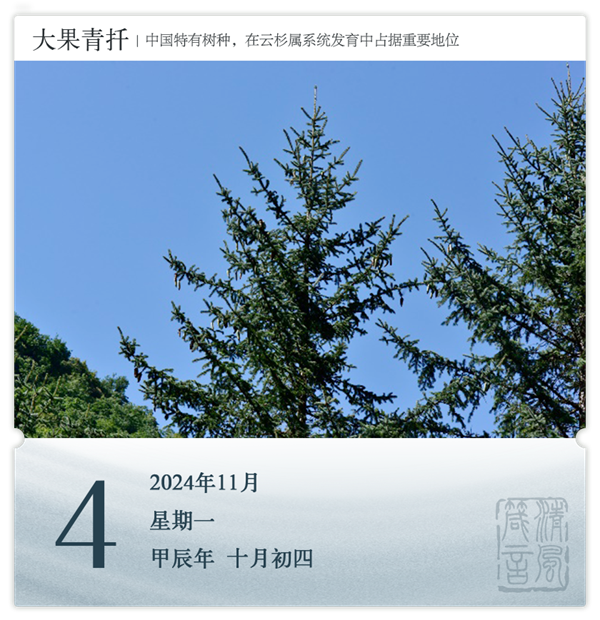 1730187442275143.png 箴歷日歷11-4.png