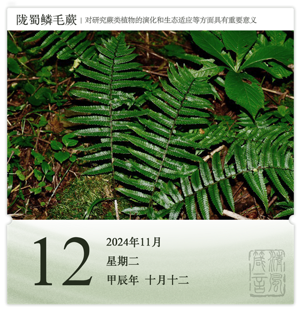 1730188449503285.png 箴歷日歷11-12.png