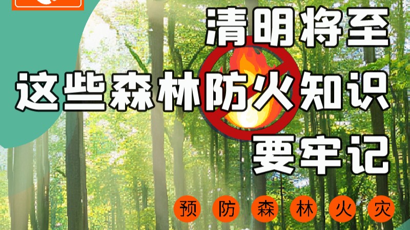 【甘快看】圖解|緊繃“安全弦”！清明，這些森林防火知識要牢記