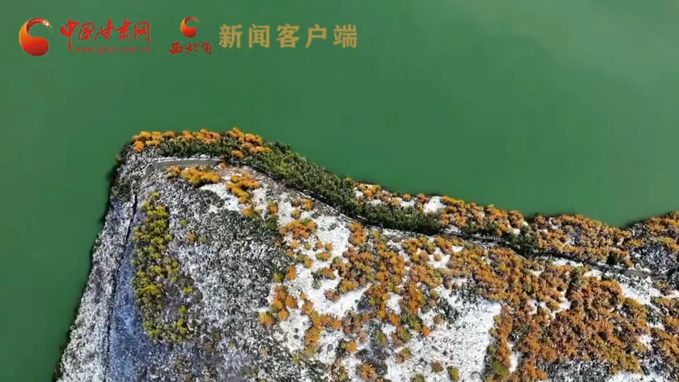 太子山秋韻：高原風(fēng)拂層林處