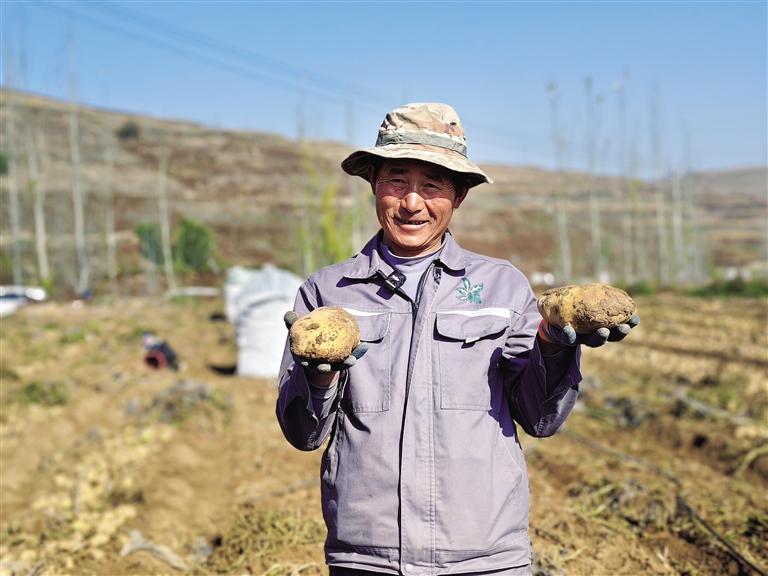 技術(shù)創(chuàng)新穩(wěn)產(chǎn)量 北繁南種拓市場(chǎng)