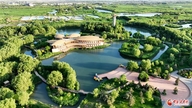 當“九色鹿”躍入張掖 西部生態(tài)名城再繪“綠水青山”新卷