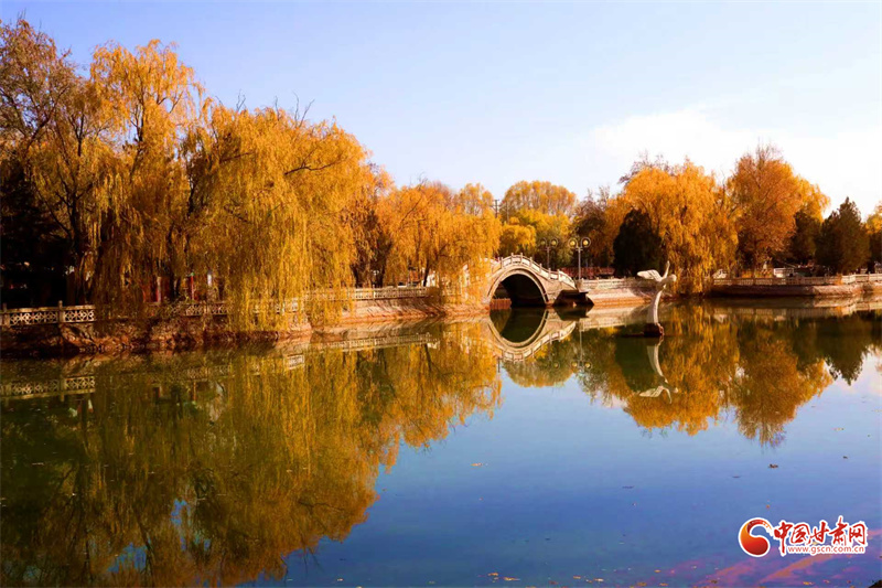 隴拍客丨臨澤小城秋景入畫