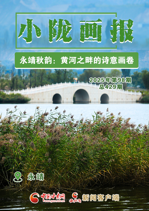 【小隴畫報·429期】永靖秋韻：黃河之畔的詩意畫卷