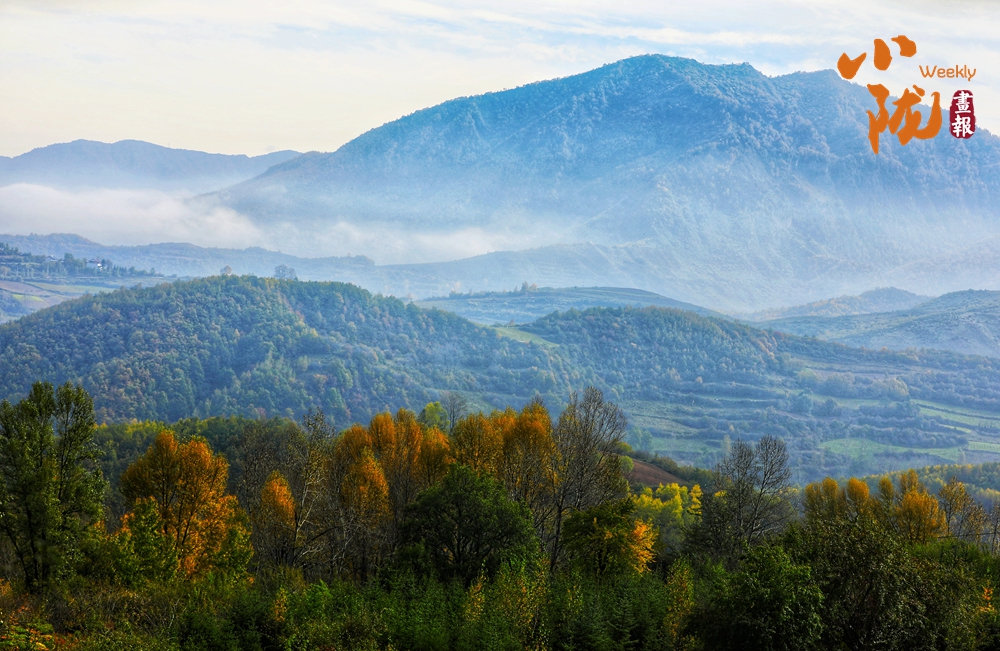【小隴畫報(bào)·443期】多圖放送 斑斕臨夏冬色迷人