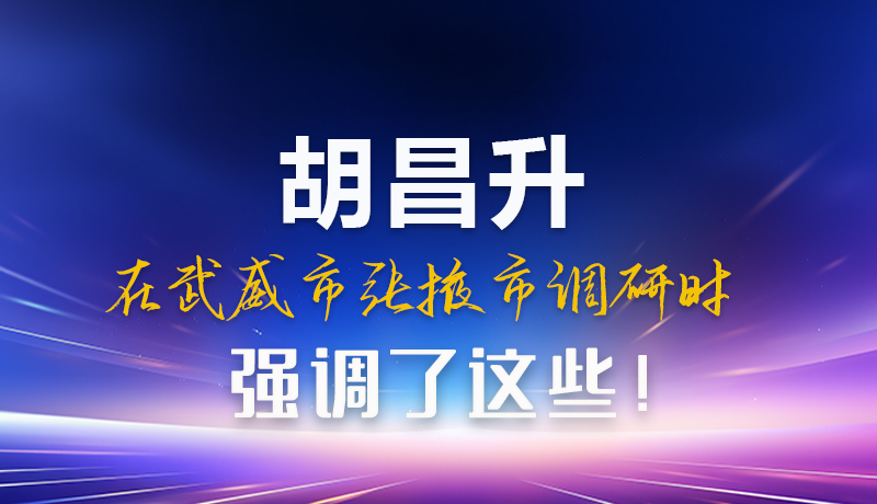 圖解|胡昌升在武威市張掖市調(diào)研時強(qiáng)調(diào)這些！