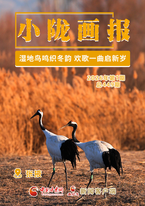 【小隴畫報(bào)·449期】張掖：濕地鳥鳴織冬韻 歡歌一曲啟新歲