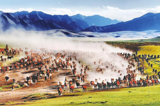 以“馬”破題 山丹文旅的國際化突圍