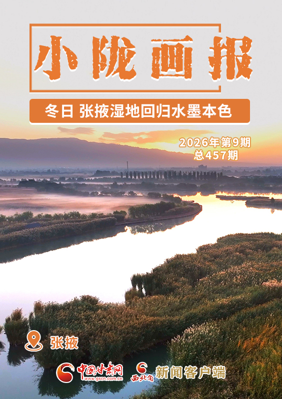 【小隴畫報·457期】冬日，張掖濕地回歸水墨本色 