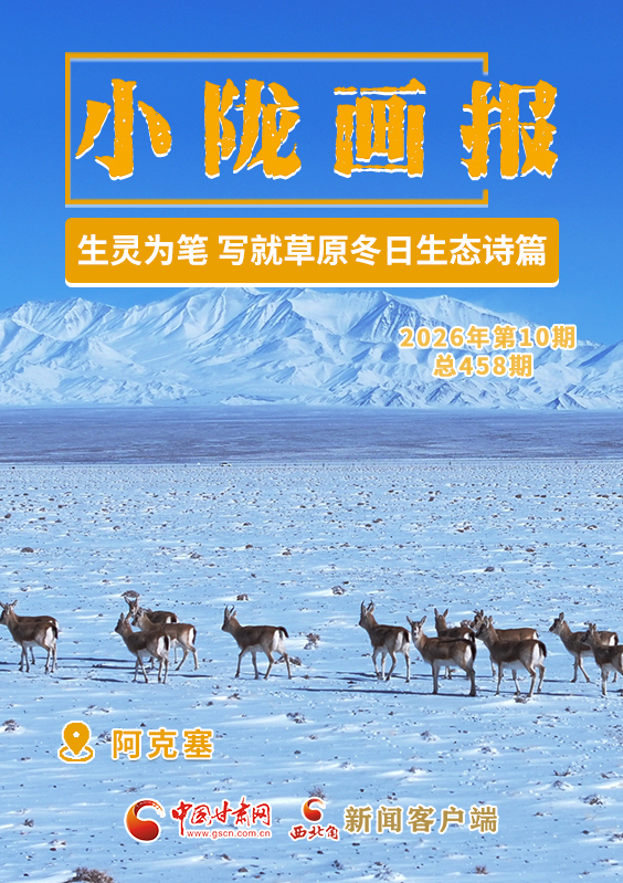 【小隴畫報(bào)·458期】阿克塞：生靈為筆 寫就草原冬日生態(tài)詩篇
