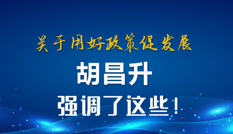 圖解|關(guān)于用好政策促發(fā)展 胡昌升強調(diào)了這些！