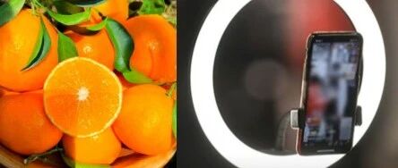 聲稱“橙子提高免疫力”、“悲情助農(nóng)”等類案頻發(fā)，敲響各單位直播帶貨警鐘