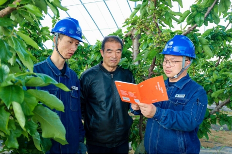 國(guó)網(wǎng)慶陽(yáng)供電公司：電力賦能特色產(chǎn)業(yè) 精準(zhǔn)服務(wù)助力鄉(xiāng)村振興