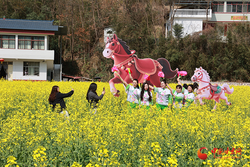 康縣：油菜花開(kāi)引客來(lái)