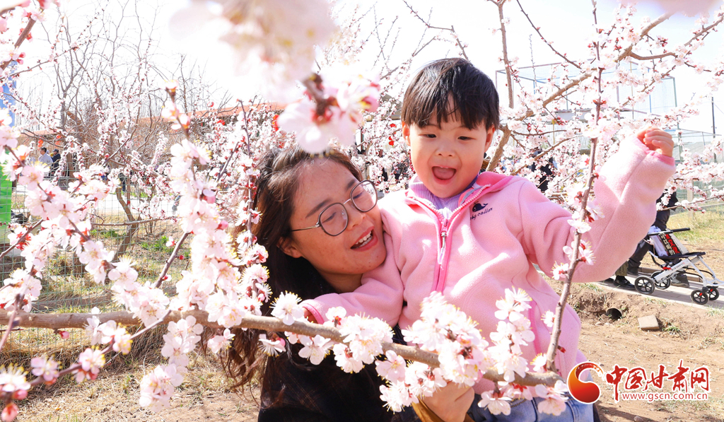春動(dòng)隴原丨甘州：千畝杏花迎春綻放 “農(nóng)旅融合”帶旺鄉(xiāng)村游