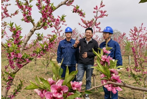 國網(wǎng)慶陽供電公司：電力護航蟠桃園 賦能鄉(xiāng)村振興路